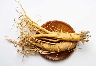 Fresh Ginseng