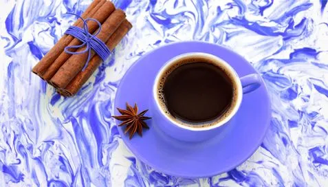 シナモンエキスに関する私たちの成功事例