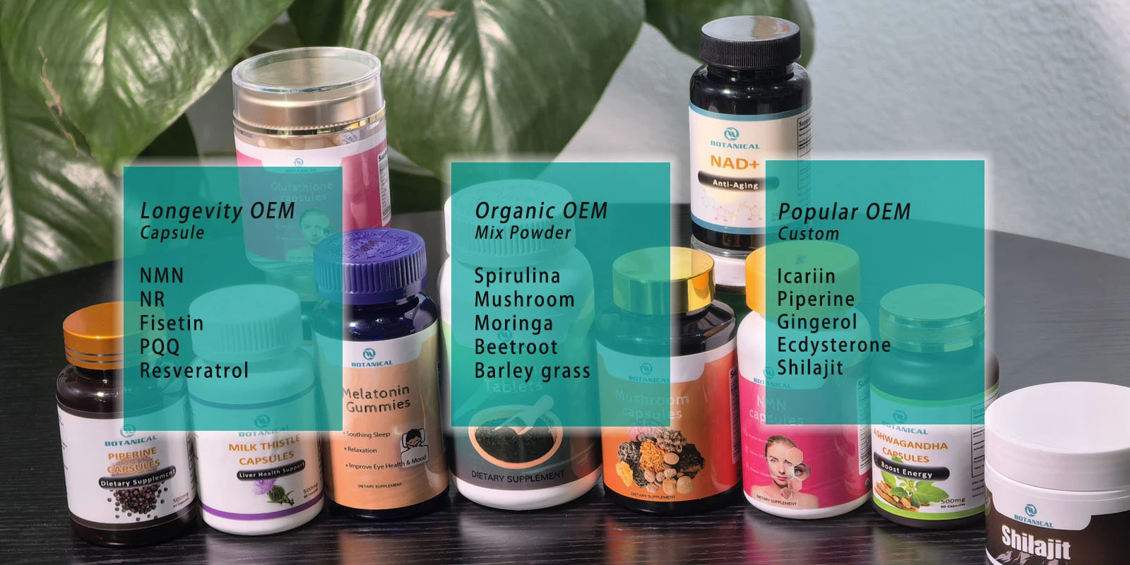 OEM Service- Botanical Cube