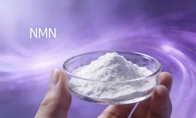 最高のNMNサプリメントは何ですか?
